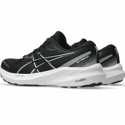 gel-phoenix 13 w