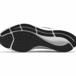 pegasus 38 m