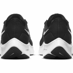 pegasus 38 m